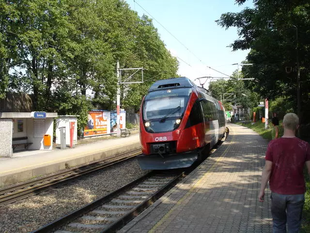 Wena-da jemgyýetçilik transporty