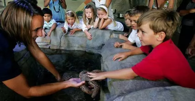 Akvariumas ir zoologijos sodas Miunchene