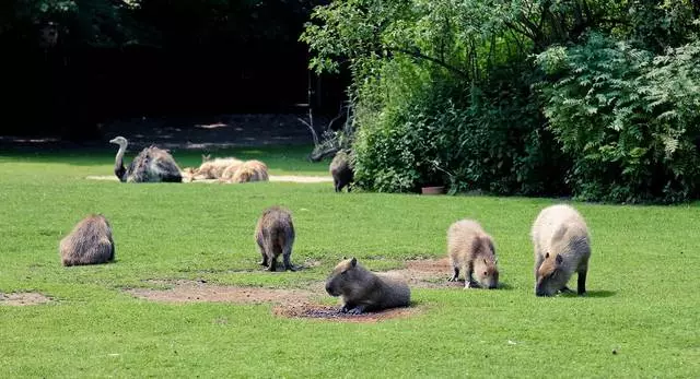 Akwarium na zoo na Munich 10061_2