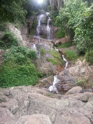 Matsatsi a mahlano ho Samui - karolo ea lihlekehleke tsa Thailand! 10274_6