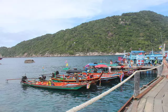 Usa ka gamay nga kasagmuyo sa Tao Island. 10280_8