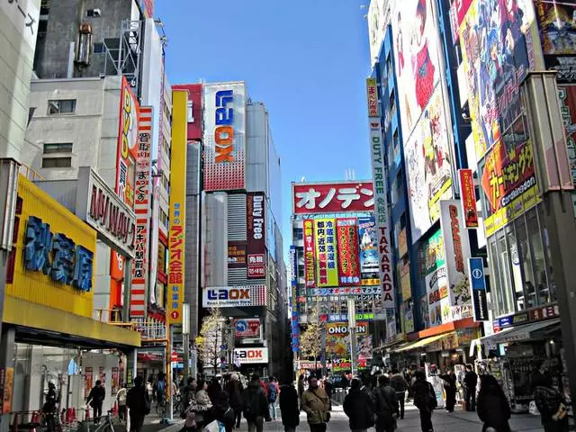 Fotoana mahafinaritra amin'ny fitsaharana ao Tokyo 10285_2