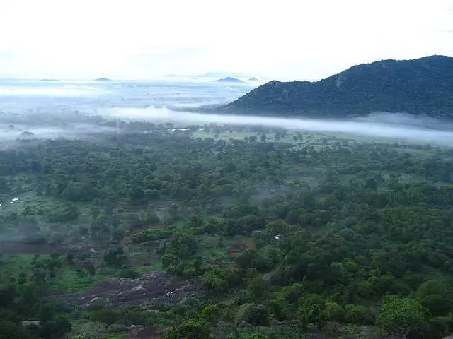 Is dit die moeite werd om met kinders na Sri Lanka te gaan? 10309_2