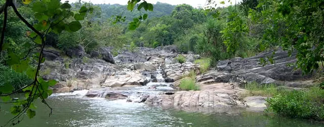 Kuenda kupi paPangan uye zvekuona? 10357_11