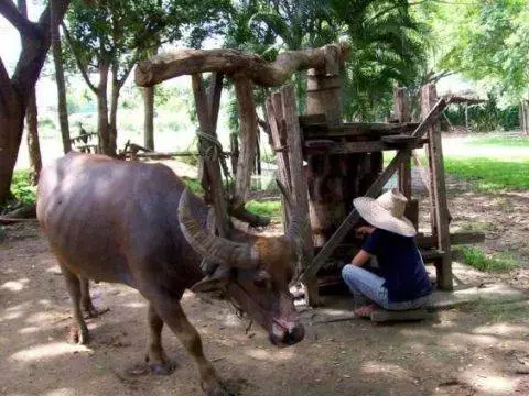 Chiang pode: entretenimento em férias 10409_3