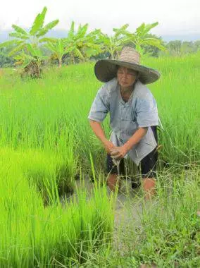 Chiang May: Giải trí vào kỳ nghỉ 10409_4