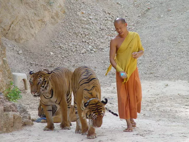 Çfarë vlen të shikosh në Kanchanaburi? 10411_14