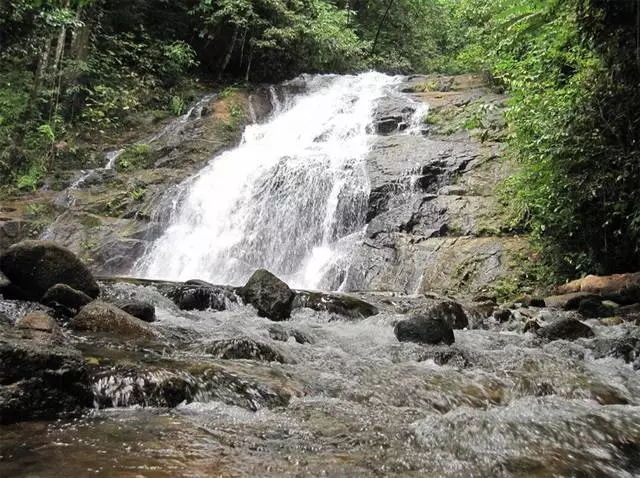 អ្វីដែលគួរឱ្យចាប់អារម្មណ៍ក្នុងការឃើញបឹងកៅ? 10412_7