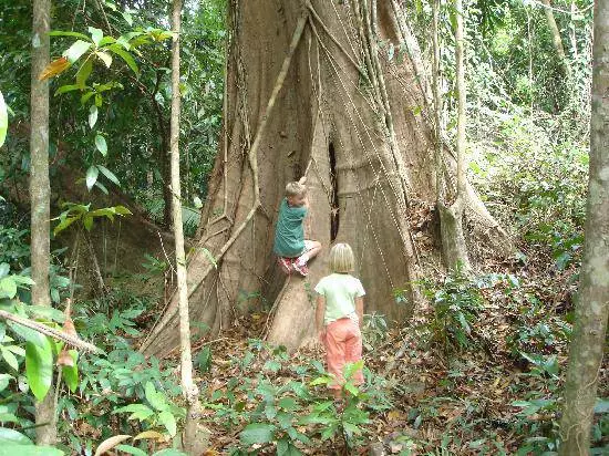 Macluumaad waxtar leh oo loogu talagalay kuwa tagaya Kuud 10427_5