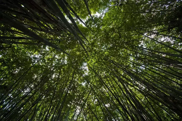 高湖最有趣的短途旅行。