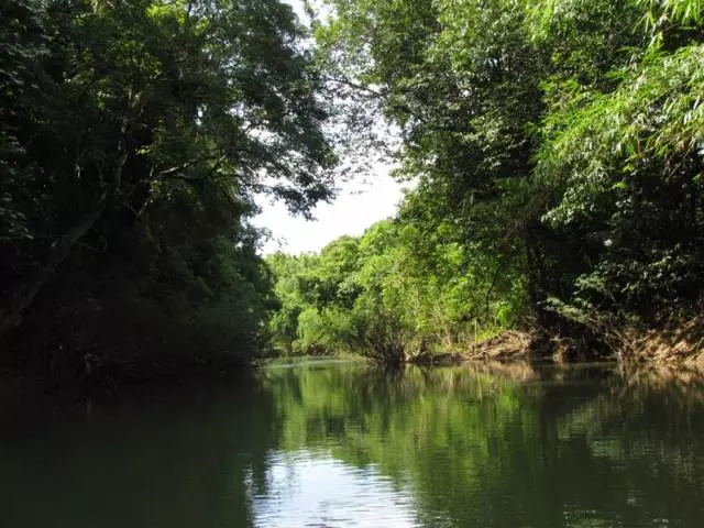 Ang pinaka-kagiliw-giliw na iskursiyon sa Kao Lake. 10445_4