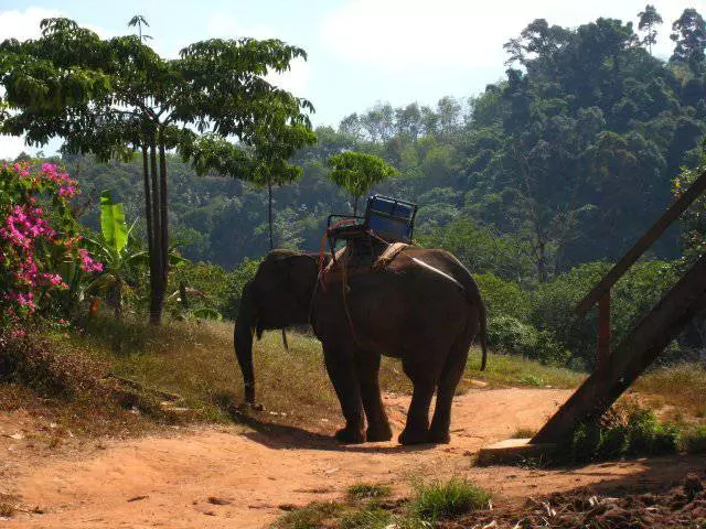 高湖最有趣的短途旅行。 10445_5