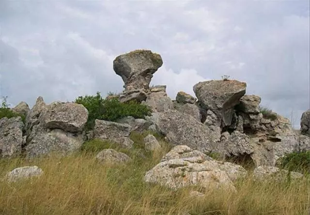 Schelkino - moje stalno mjesto odmora. 10472_5