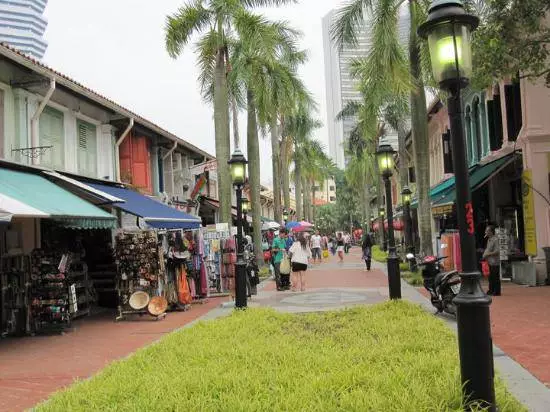 ¿Qué atrae Singapur a los turistas? 10533_15