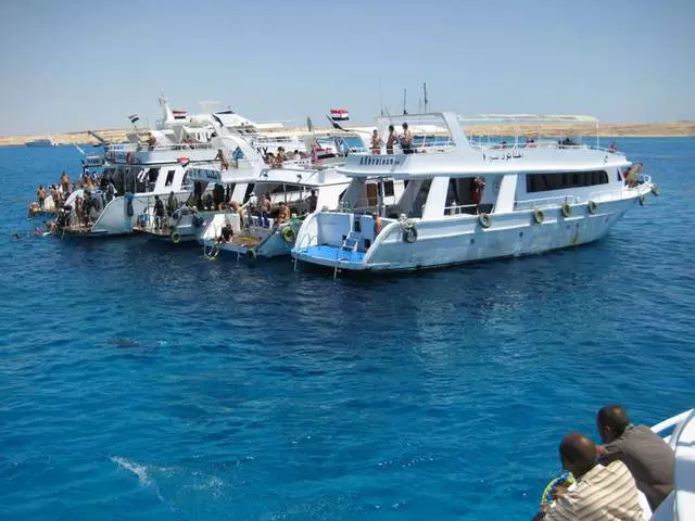 Zein txango merezi dute Sharm El-Sheikh-en bisitatzea? Non hobe txangoak erosteko? 10556_8