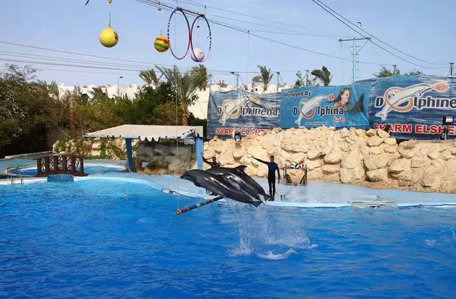 Apa yang patut dilihat di Sharm El-Sheikh? Tempat yang paling menarik. 10558_6