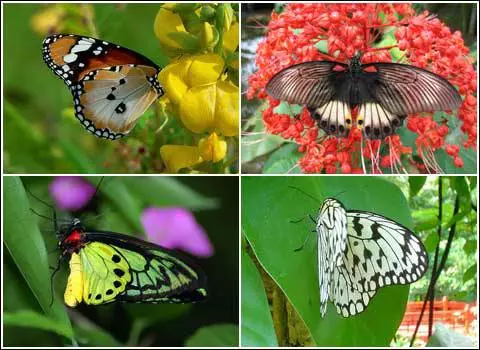 സെൻഡ്മോസിസിലെ അവധിക്കാലത്ത് സ്വയം എങ്ങനെ എടുക്കാം? 10565_17