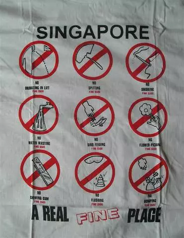 Inona no tokony hividianako any Singapore? 10574_2