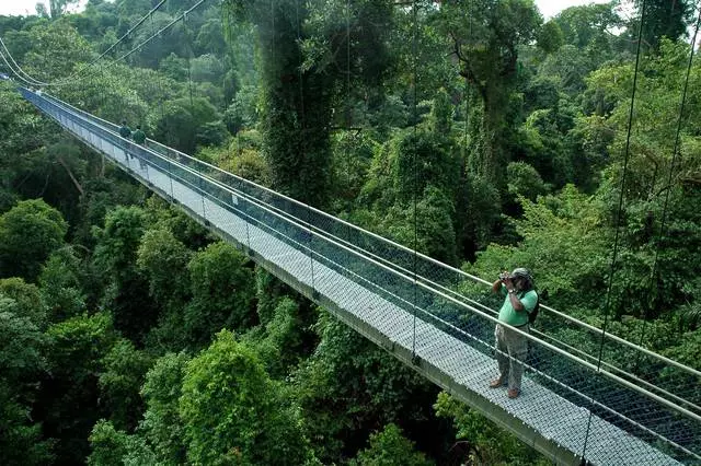 Quel divertissement est à Singapour? 10582_16