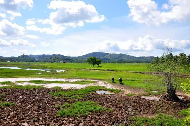 Langkawi'yi ziyaret etmeye değer ilginç yerler nelerdir? 10676_7