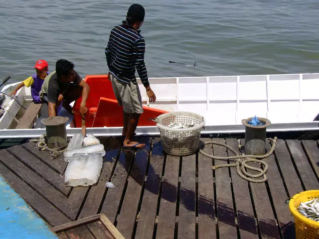 Hvad skal du forvente af ferie i Sandakan? 10734_7