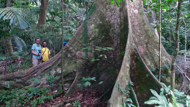 ටොමානයේ විවේක ගන්න: ප්රයෝජනවත් තොරතුරු 10738_7