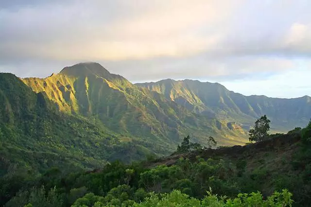 O a aiga e filifili i Hawaii? 10761_1