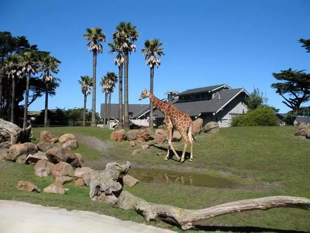 I luoghi più interessanti di San Francisco. 10766_2