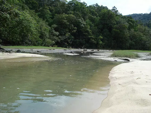 Burudani bora juu ya Penang. 10840_13