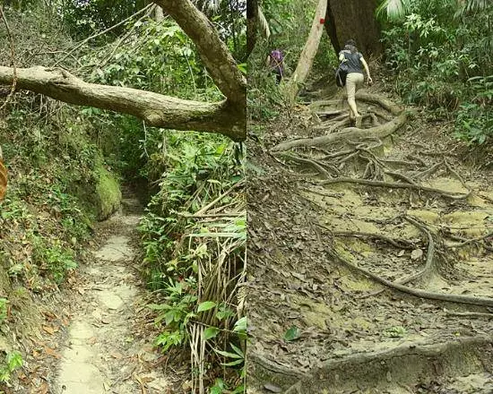 Hiburan Terbaik di Pulau Pinang 10840_4