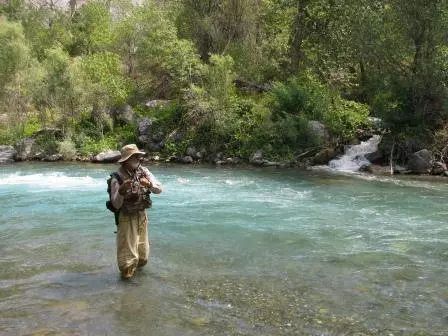 Özbekistan'a hangi gezilere gidiyor? 10860_13