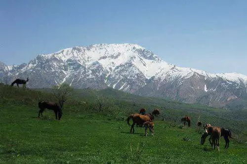 په ازبکستان ته د تلو ارزښت لرونکي څه شی د سفرونو؟ 10860_6