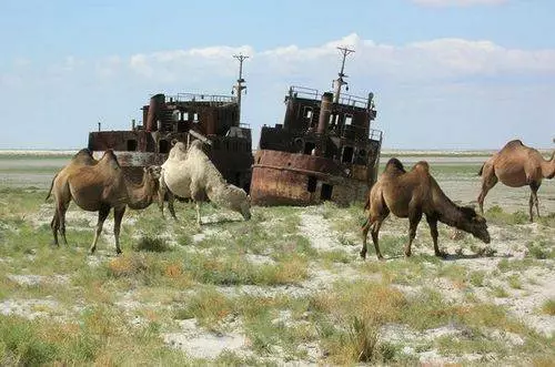 Vilka utflykter värda att gå till Uzbekistan? 10860_7