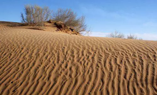 Hokker ekskurzjes wurdich nei Oezbekistan? 10860_8