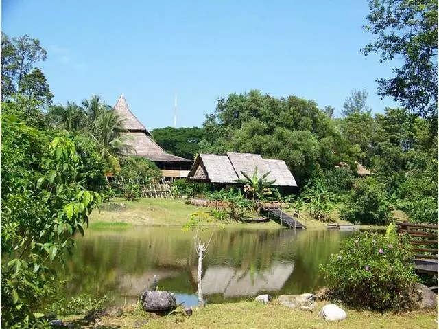 Yuav ua li cas kom tau kuching?