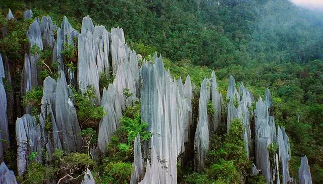 Naon anu anjeun panginten ti rekreasi di Kuching? 10934_4