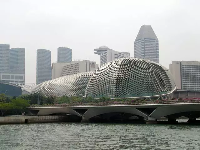 Anhysbys am Singapore 10947_2