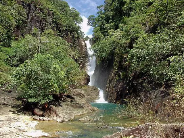 Rojaus Siamo įlankoje, Koh Chang. 10989_2