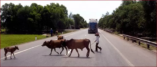 Închiriere de vacanță: costul zborului, timpul de călătorie, transfer.