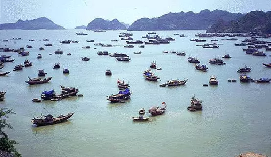 Hva bør du forvente fra ferie i Halong? 11097_10