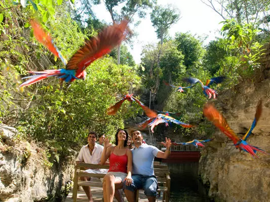 Tudo sobre descanso em riviere maya: comentários, dicas, guia 1114_1