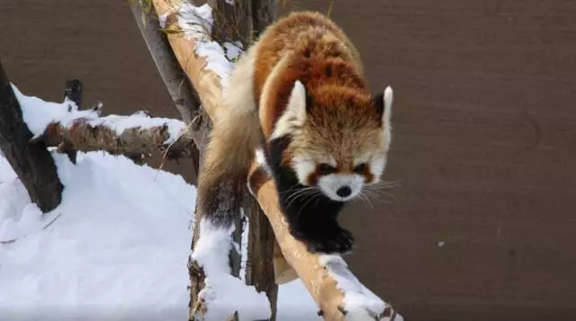 Sili ona manaia nofoaga i le sapporo.