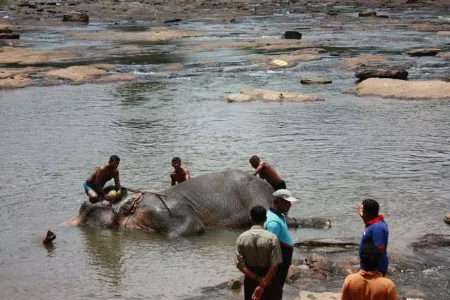 Sri Lanka am ddau.