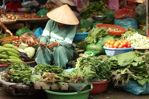 Qu'est-ce qui est intéressant de voir Hoian? 11517_8