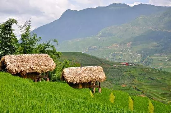 SEP मा सबै भन्दा राम्रो मनोरन्जन 11637_9