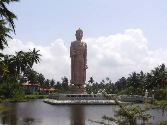 Worldwa ọzọ, na-arụsi ọrụ ike, Sri Lanka. 11715_3