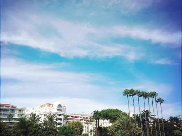 Maluho nga cannes. 11738_2