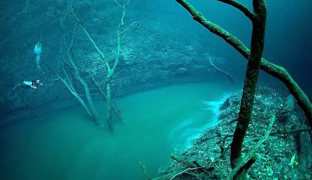 Playa del Carmen. Εξαιρετική καταδύσεις 11747_2