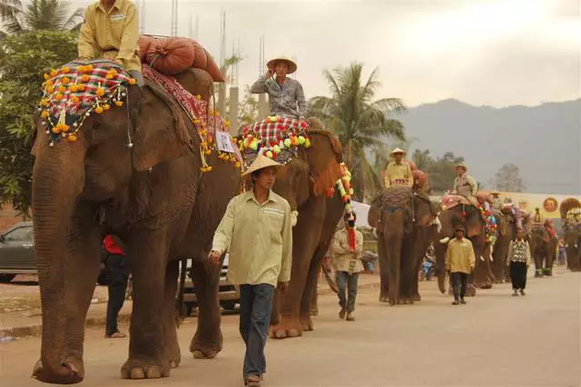 Sekiranya saya pergi ke Laos dengan seorang kanak-kanak? 11750_5