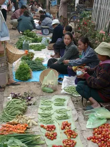 Ibiranga kuruhuka muri Luang Prabang 11761_6